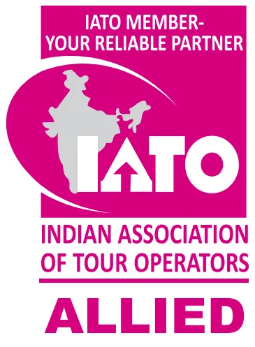 Treehouse Official Partners