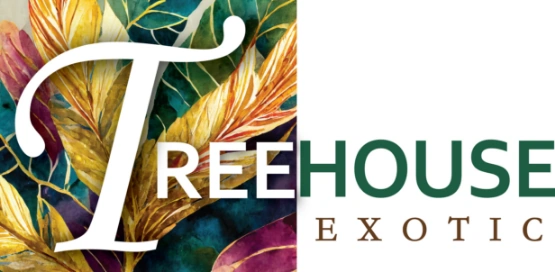 Treehouse Official, Resorts, Villas and Apartments